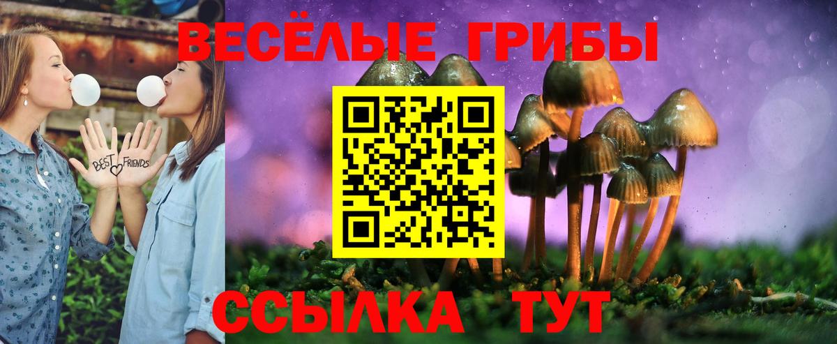 Галлюциногенные грибы Cubensis  Галлюциногенные грибы GOLDEN TEACHER  Вход с VPN  как найти   Ливны 